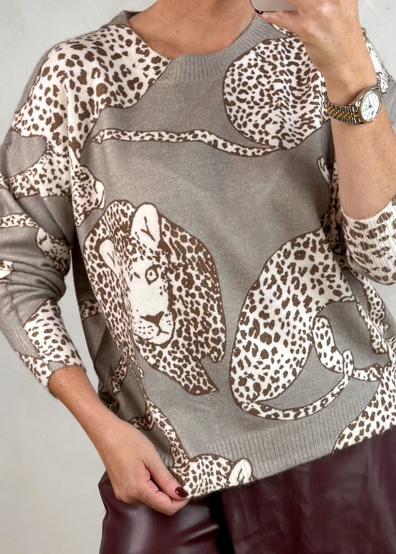 Cheetah knit-The Style Attic