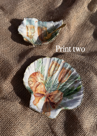 Lisa’s decorative Shells - Print 2-The Style Attic