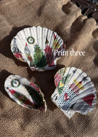 Lisa’s decorative Shells - Print 3-The Style Attic