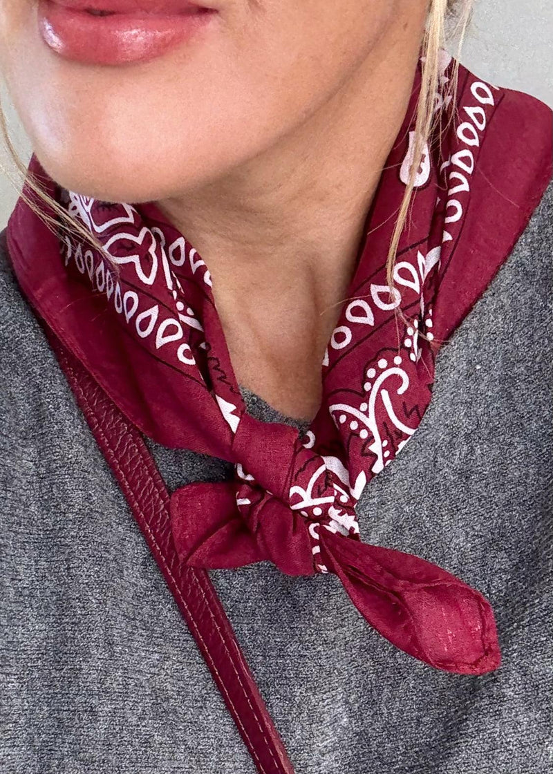 Paisley neck tie - Merlot-The Style Attic