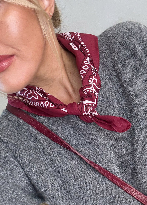 Paisley neck tie - Merlot-The Style Attic