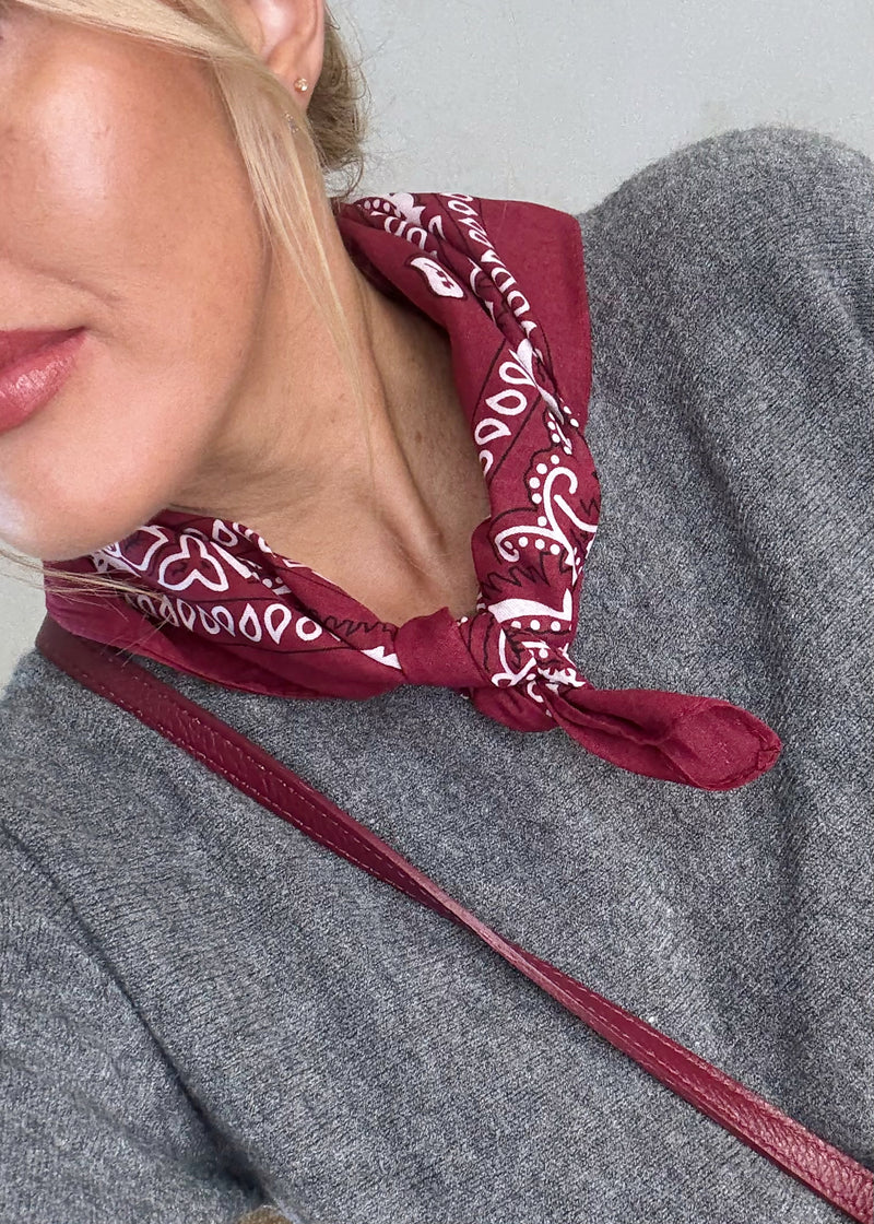 Paisley neck tie - Merlot-The Style Attic